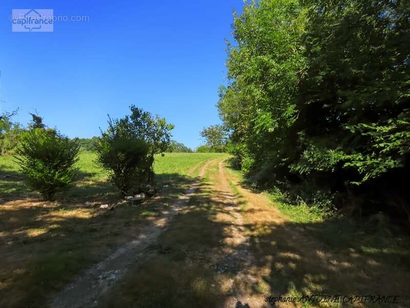 Maison à vendre 4 pièces BUGNEIN (64) - photo 13