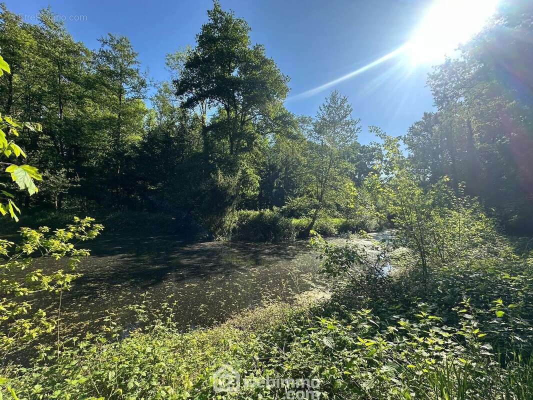 A découvrir rapidement - Terrain à PARFONDRU