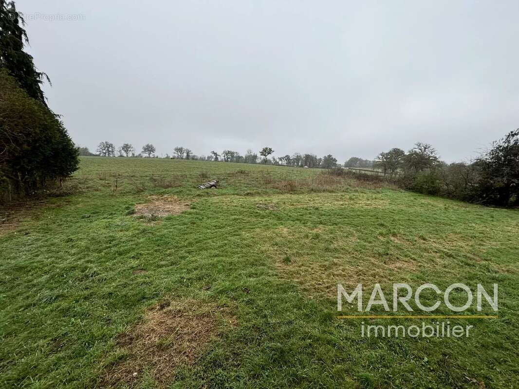 Vente maison secteur chenerailles - photo 3