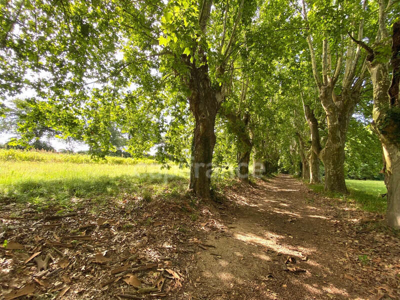 Dpt Gard (30), à vendre dans le Gard, propriété viticole en AOP Côtes du Rhône sur 25 hectares avec Château du XVème siècle - photo 6