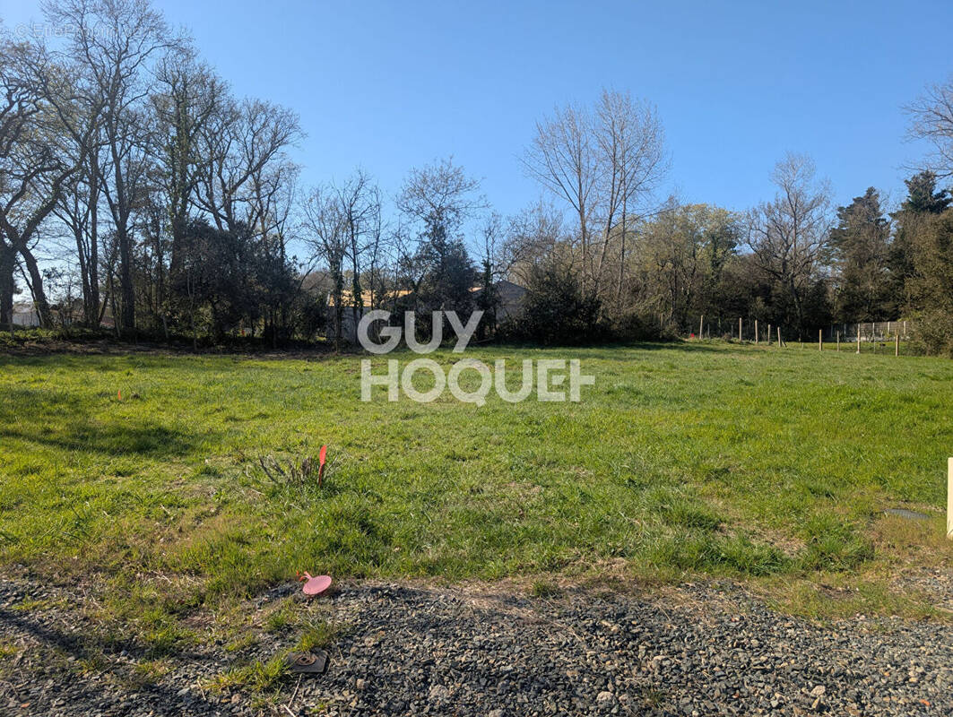 Terrain à SAINT-JEAN-DE-MONTS