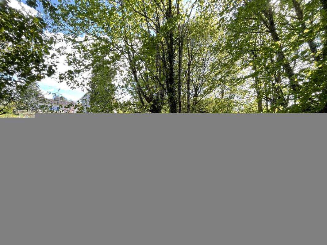 Terrain à CHATEAUNEUF-LA-FORET