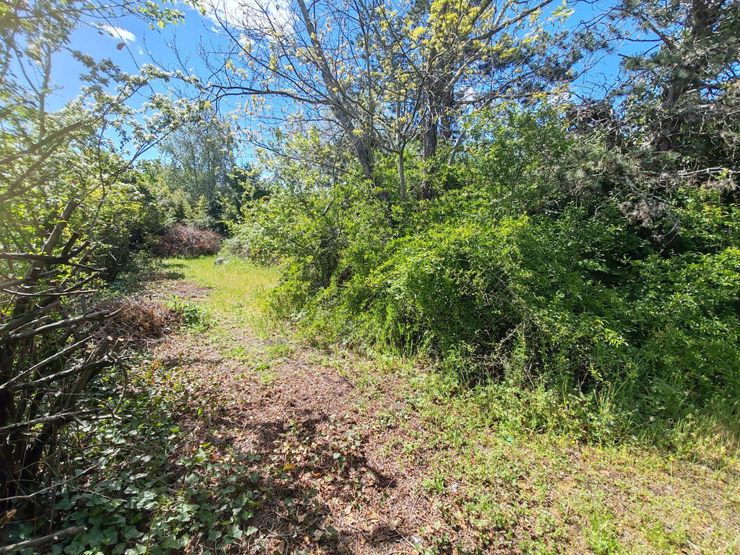 Terrain à TOULOUSE