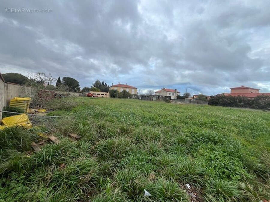 Terrain à RIVESALTES