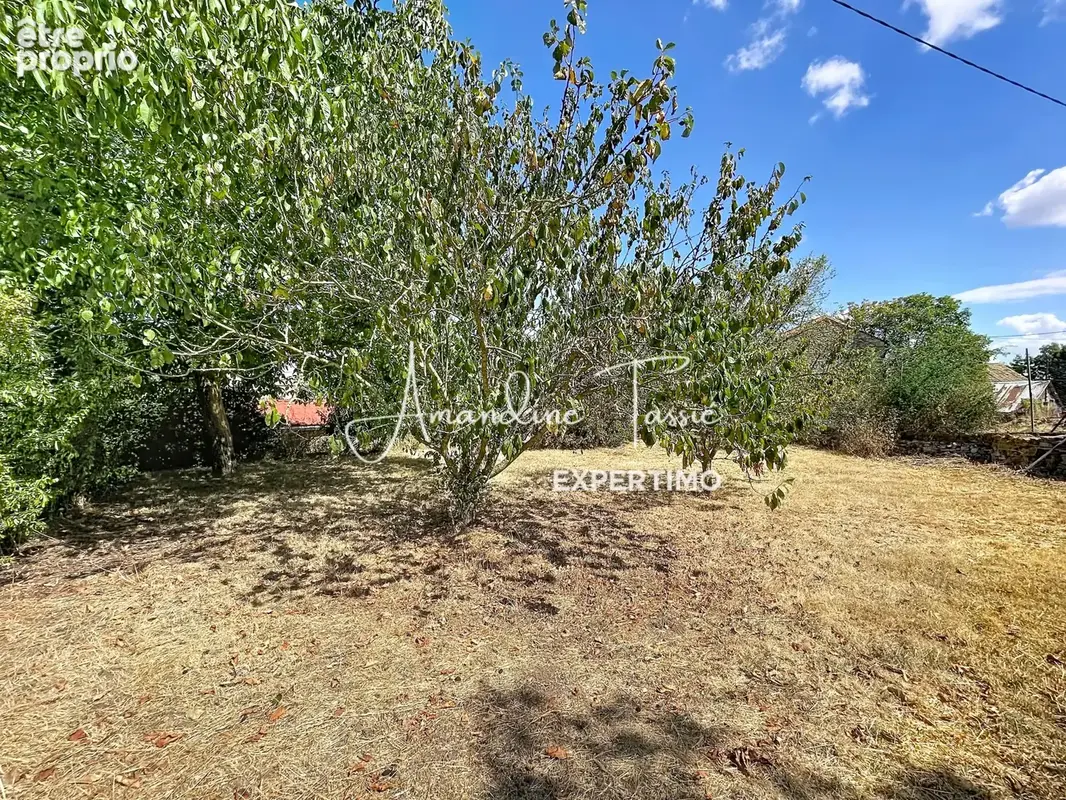 La cavalerie   propriété de caractère aux multiples possibilités - photo 33