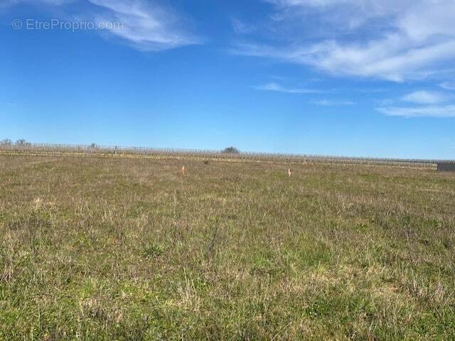 Terrain à BOUTIERS-SAINT-TROJAN