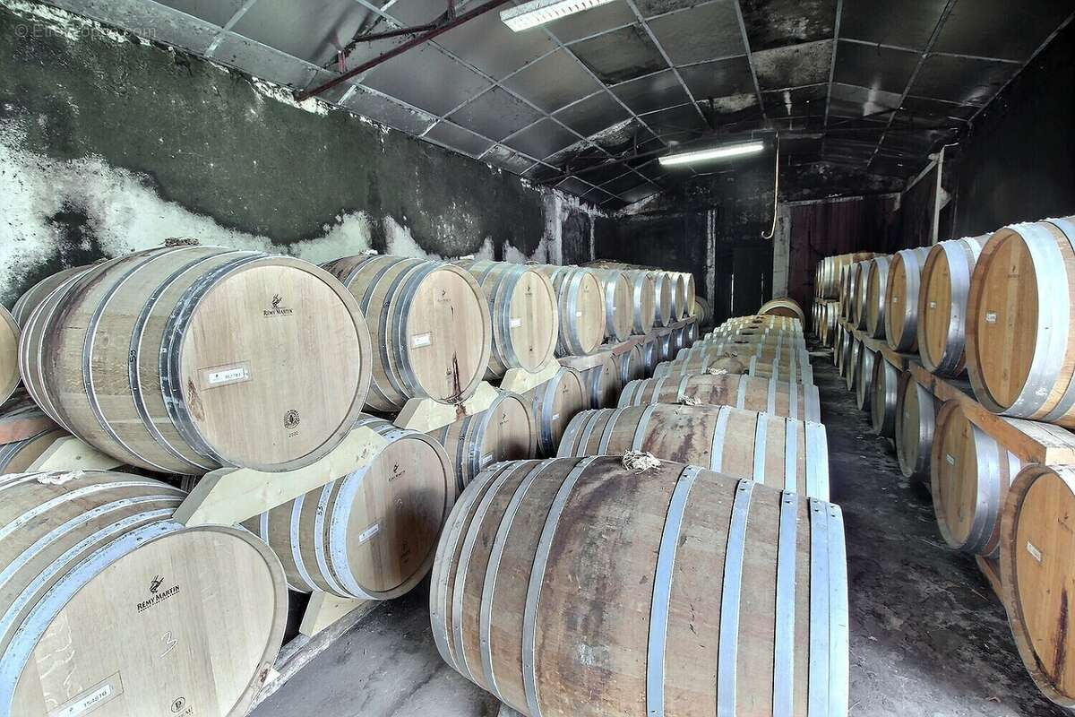 Maison à BRIVES-SUR-CHARENTE