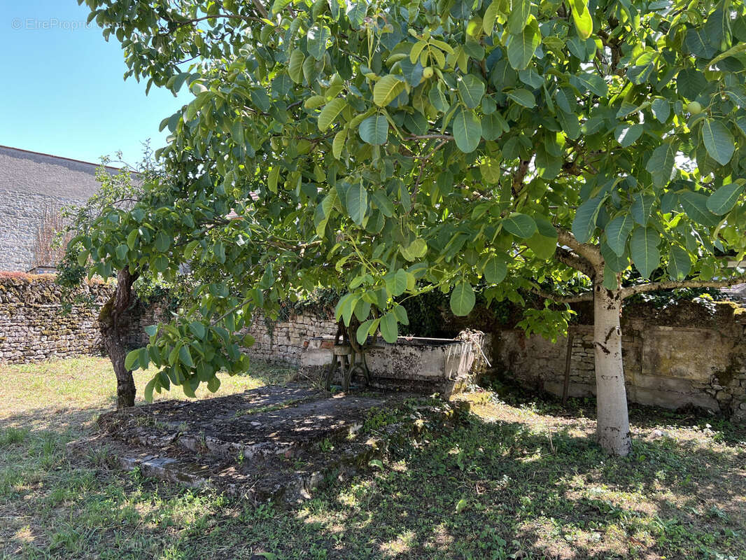 Terrain clos constructible - photo 10