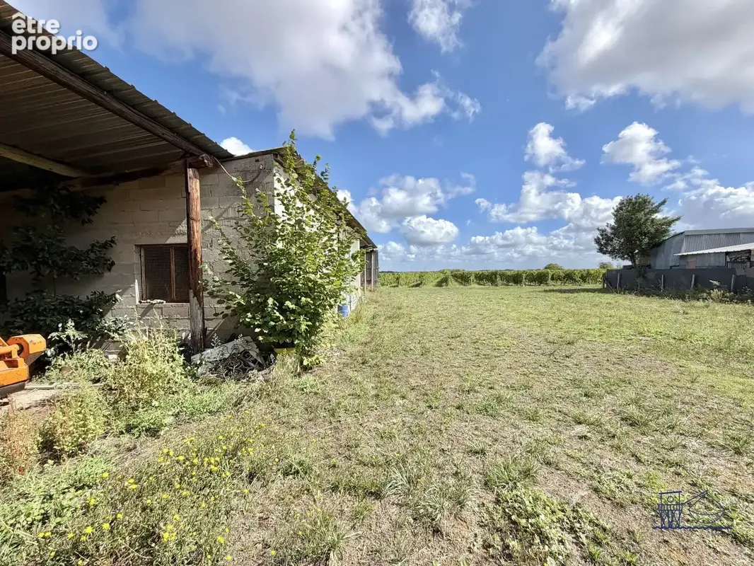 Maison 4 pièces 370 m² à vendre à Brie-Sous-Mortagne (17120) - photo 6
