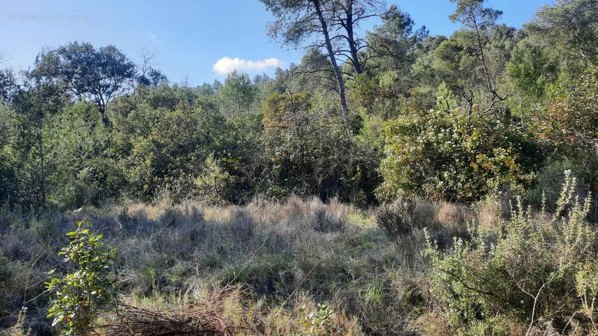 Terrain à CARNAS