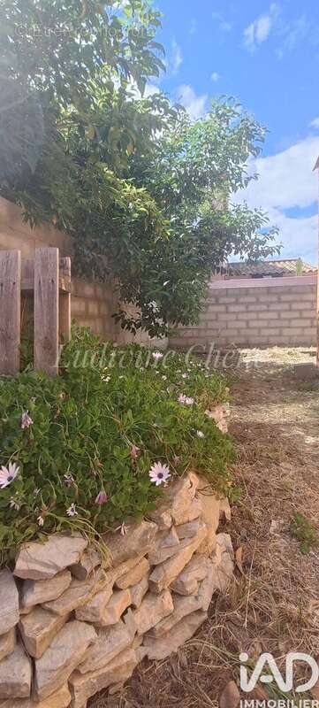 Photo 3 - Maison à FRONTIGNAN