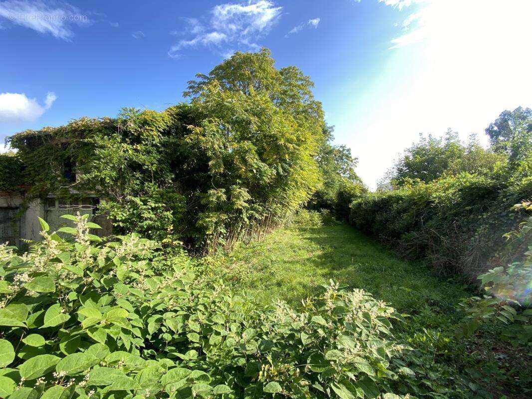 Maison à LE BOUSCAT