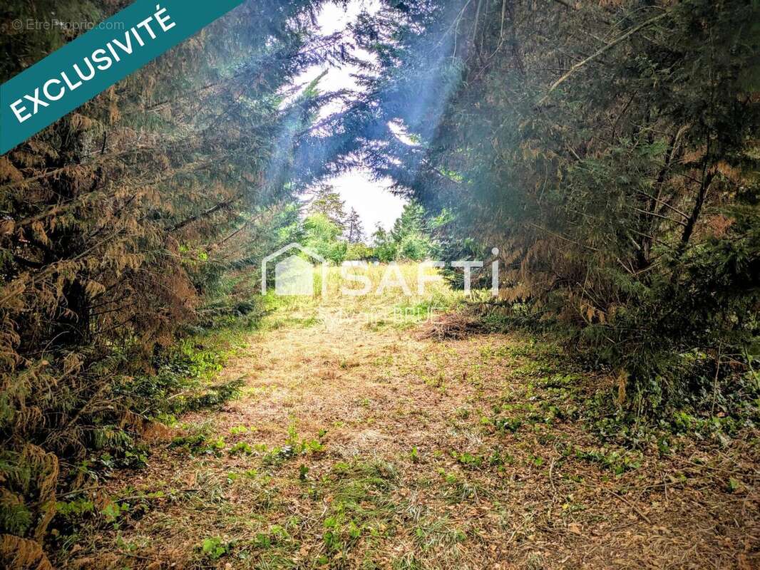 Photo 5 - Terrain à VAZERAC