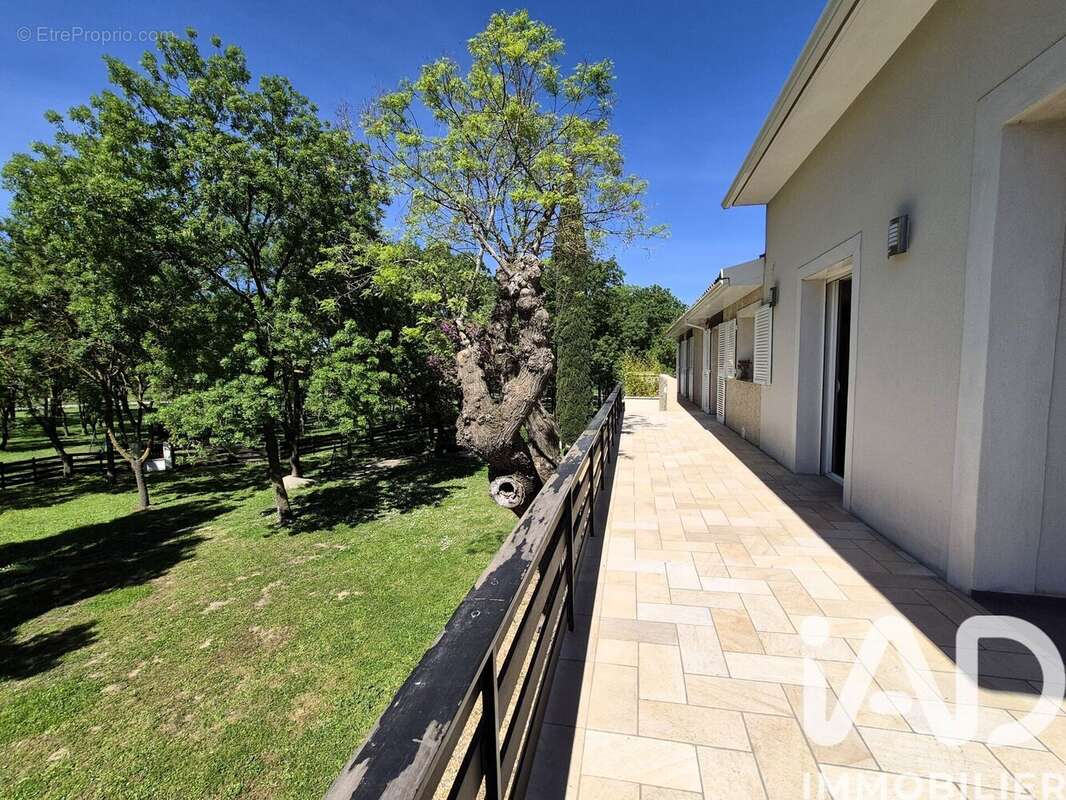 Photo 8 - Maison à FABREGUES