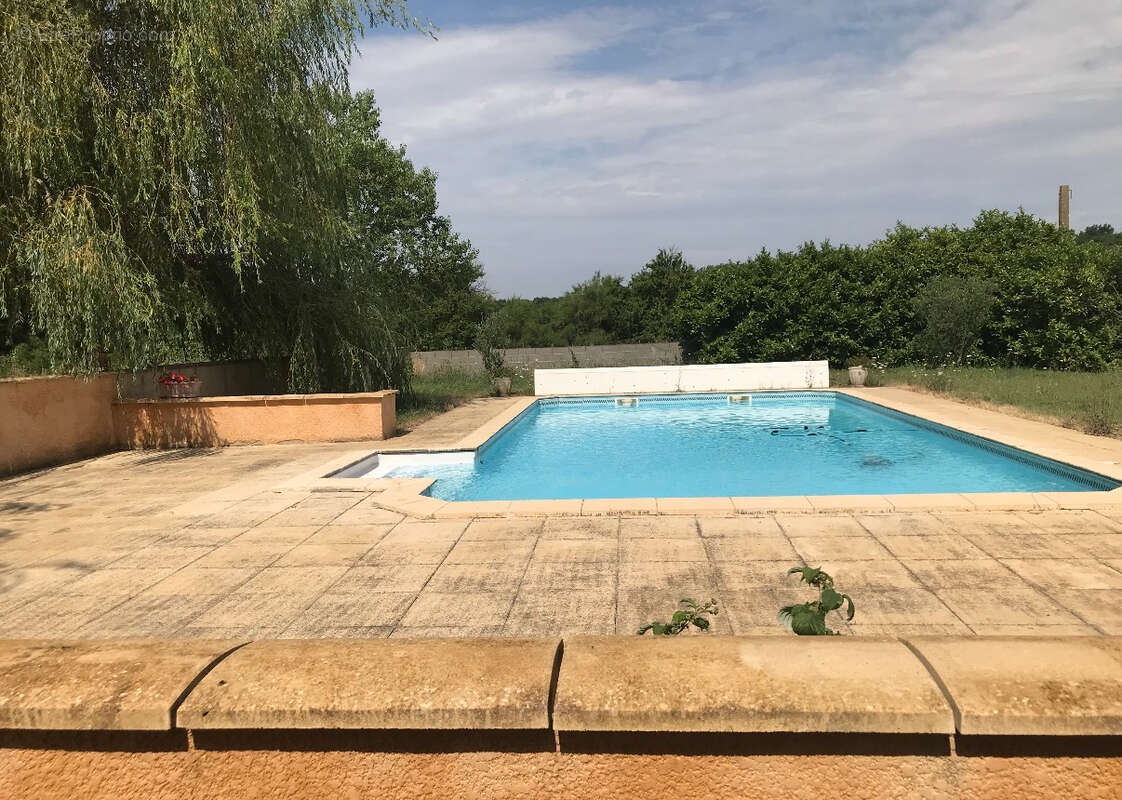 Propriété en pleine nature, avec 10 hectares, piscine et dépendances. - photo 3