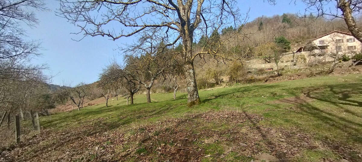 Maison à DORNAS