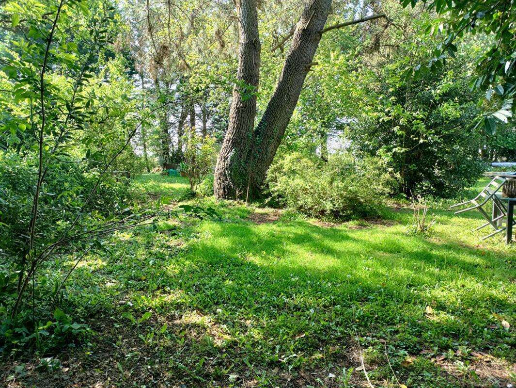 Terrain à SAINT-LYPHARD