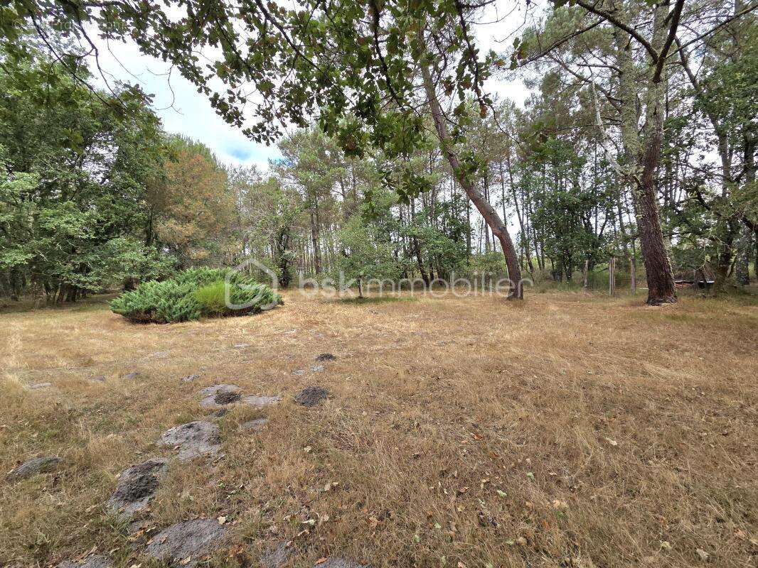 Propriété d'exception de 295 m² sur 39 294 m² – Herm (40990) - photo 2