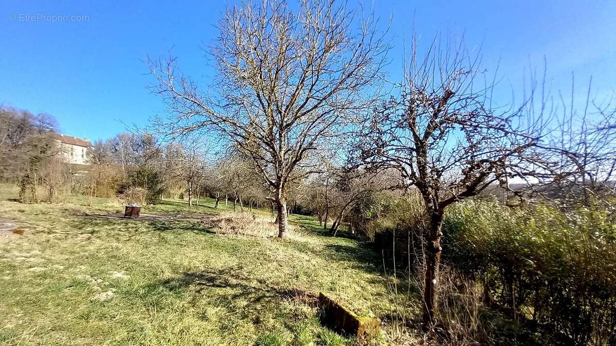 Maison à SAINT-BASLEMONT