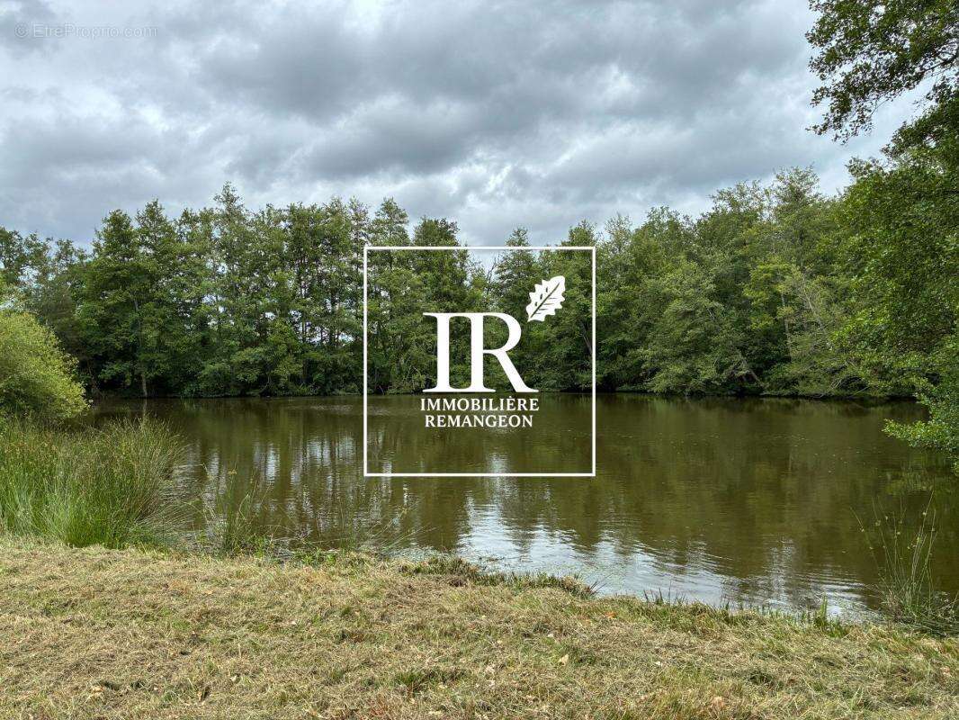Propriete avec etang brinon sur sauldre - photo 10