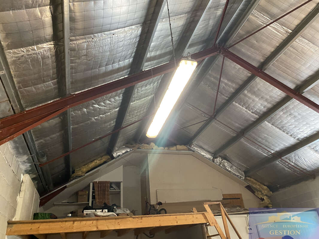 Hangar, pieces et terrain - photo 4