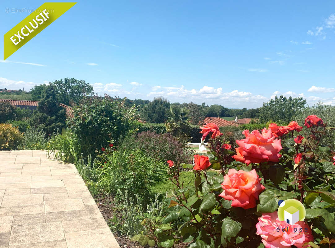A VENDRE BUELLAS - Maison individuelle d'environ 150 m2 avec piscine - photo 4