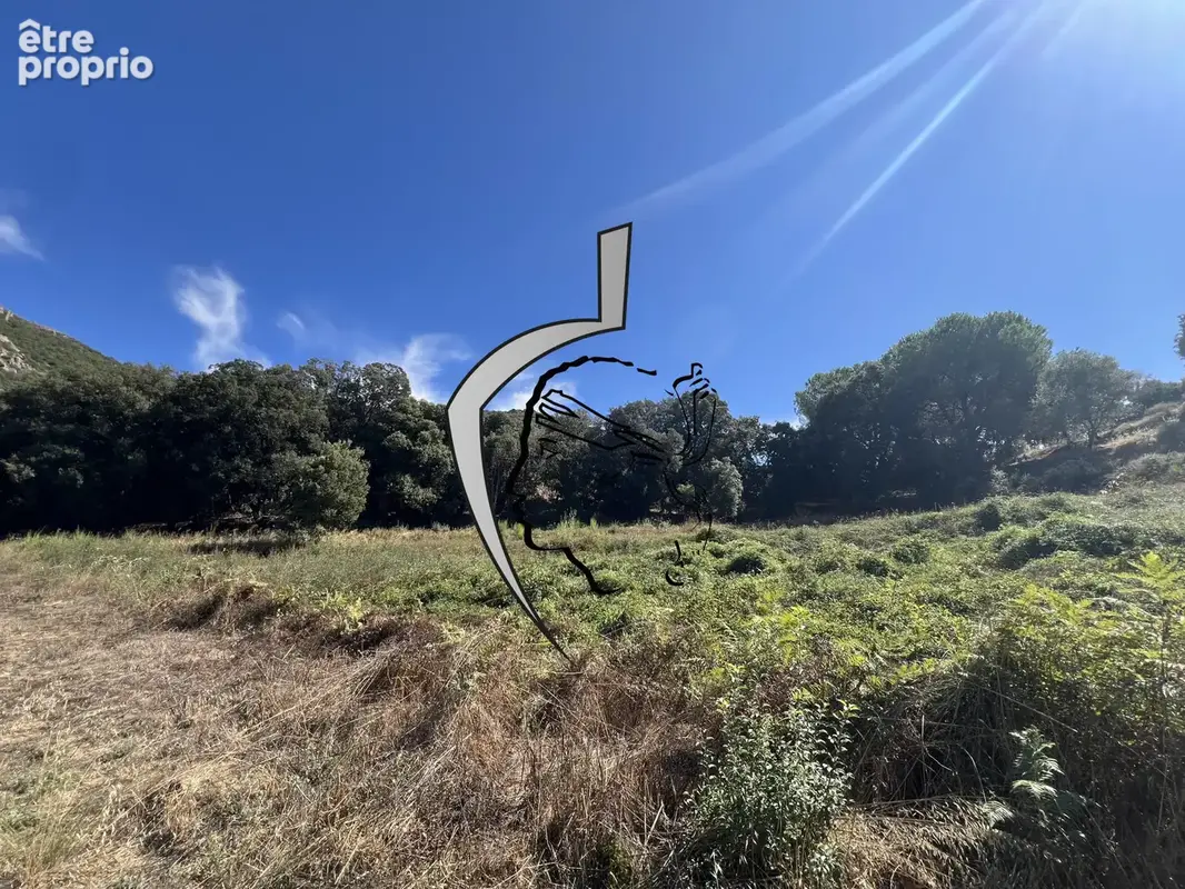 Terrains à bâtir commune d'ALATA- lieu-dit SAN BENEDETTO - photo 4