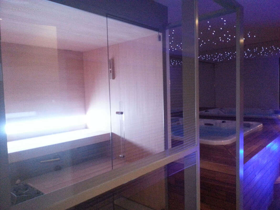 A vendre  spa bien-être clé en main   quimper - photo 3