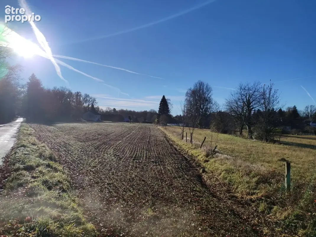 Terrain plat constructible 3000m2 - photo 4