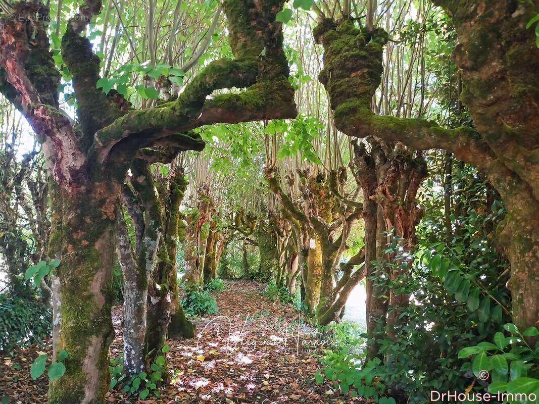 Maison à TESSE-FROULAY
