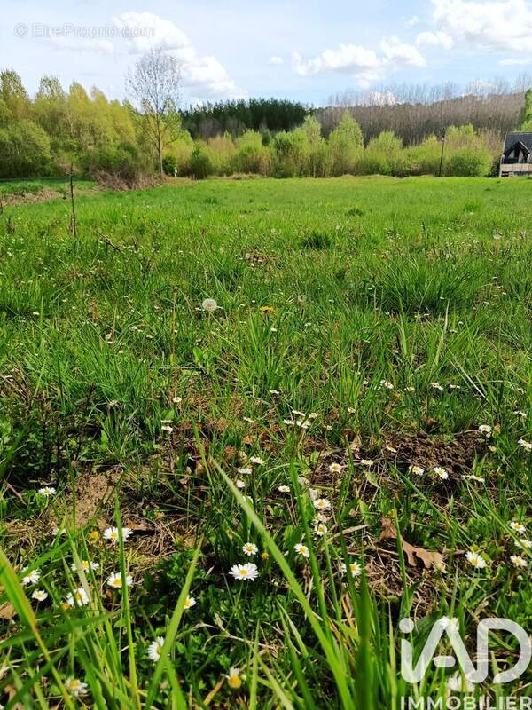 Photo 1 - Terrain à VUILLERY