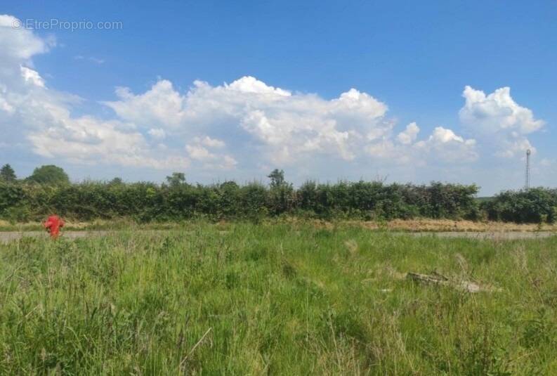 Terrain à SAINT-THURIEN