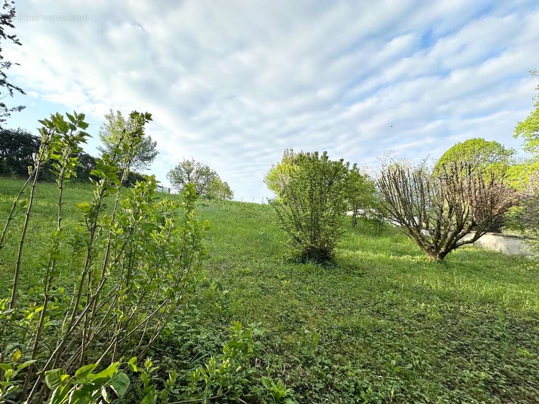 Terrain à MONTREVEL-EN-BRESSE