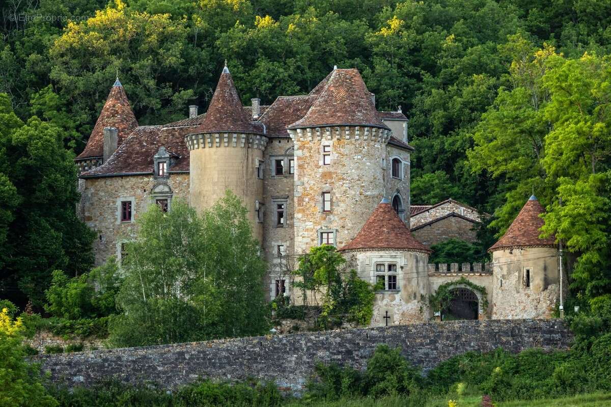 Château entierement renove - photo 6