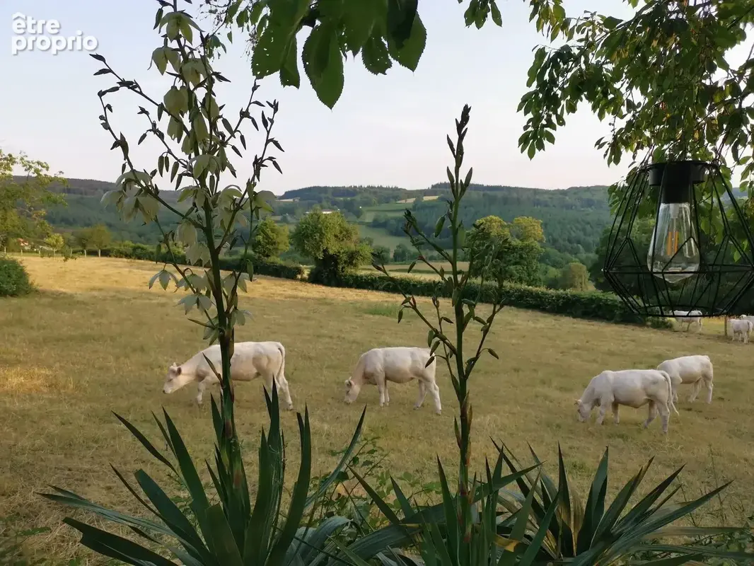 Spacieuse maison avec une magnifique vue à Château-Chinon-Campagne - photo 36