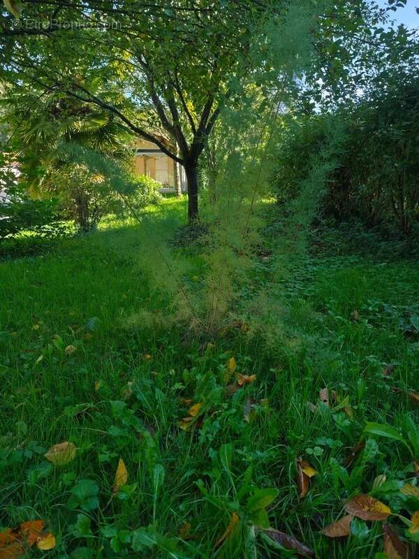 Maison à SAINT-MICHEL