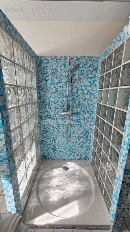 Maison à LE PALAIS-SUR-VIENNE