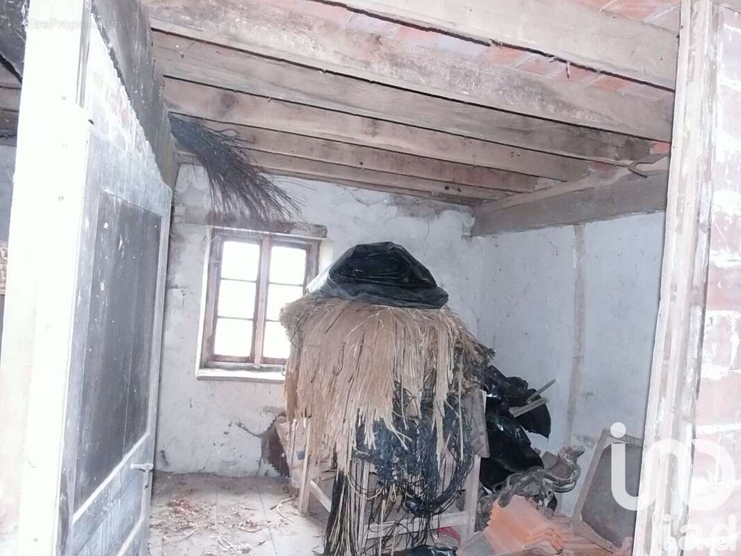 Photo 7 - Maison à VILLOSANGES