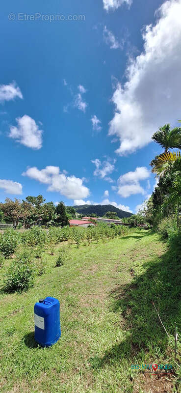 Terrain à LE MORNE-ROUGE