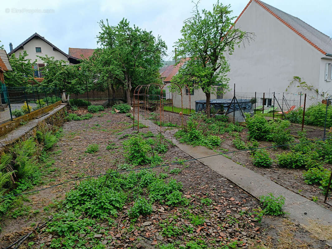 Maison à ROHRBACH-LES-BITCHE