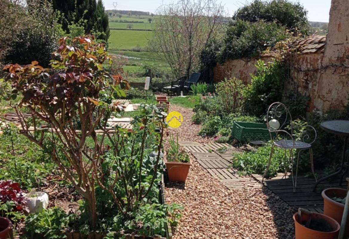 Maison à LURCY-LEVIS