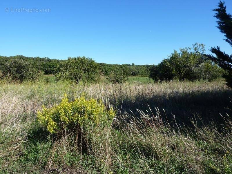 Terrain à MONTAGNAC