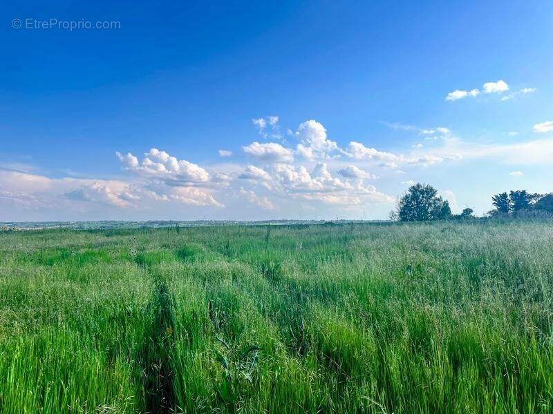 Terrain à LAPEYROUSE-FOSSAT