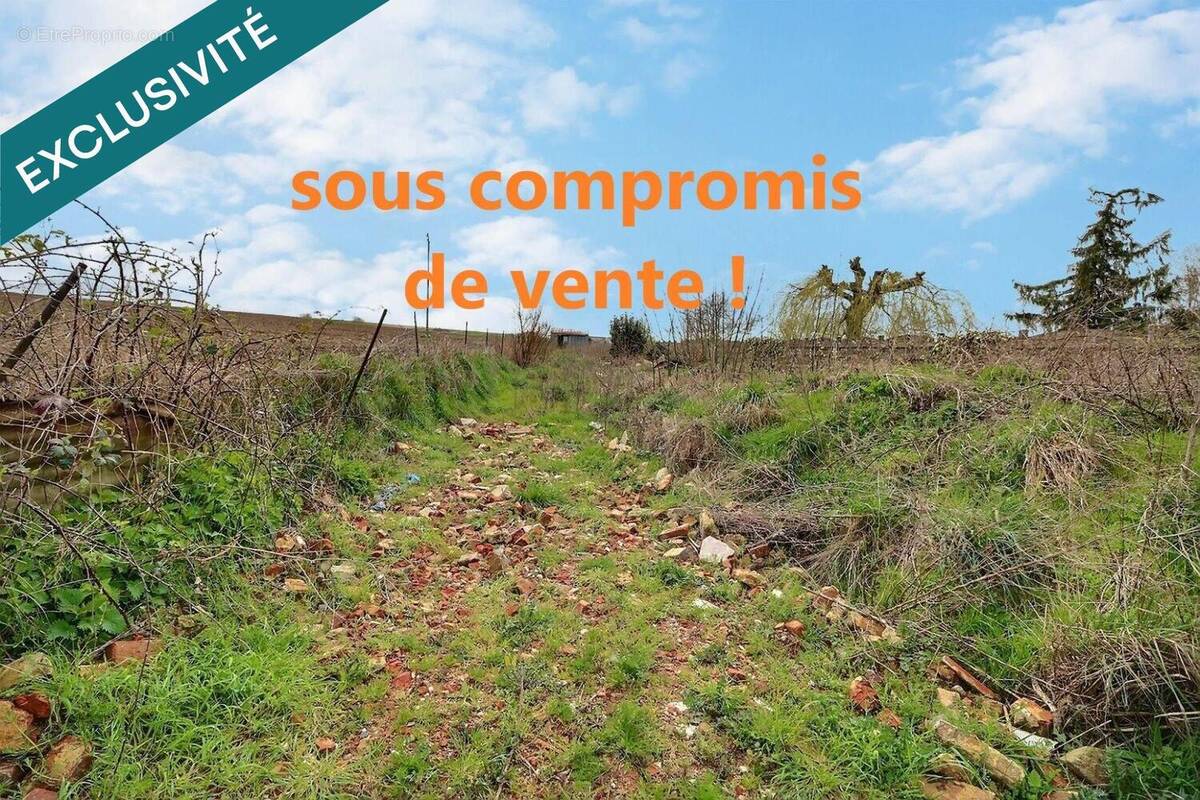 Photo 1 - Terrain à SOLESMES