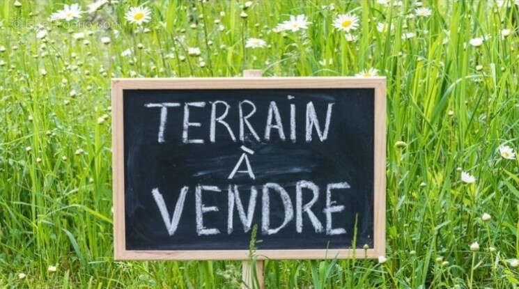 Terrain à POGNY
