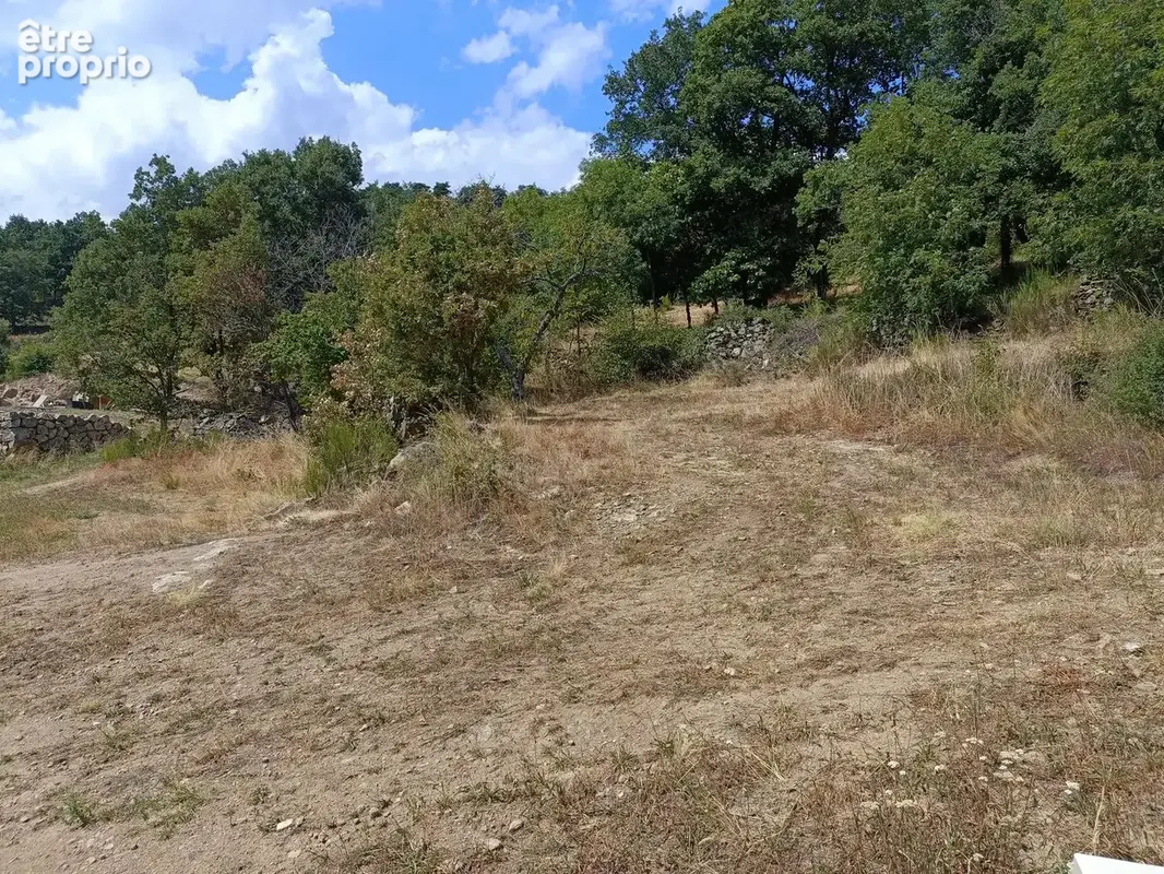 Terrain
