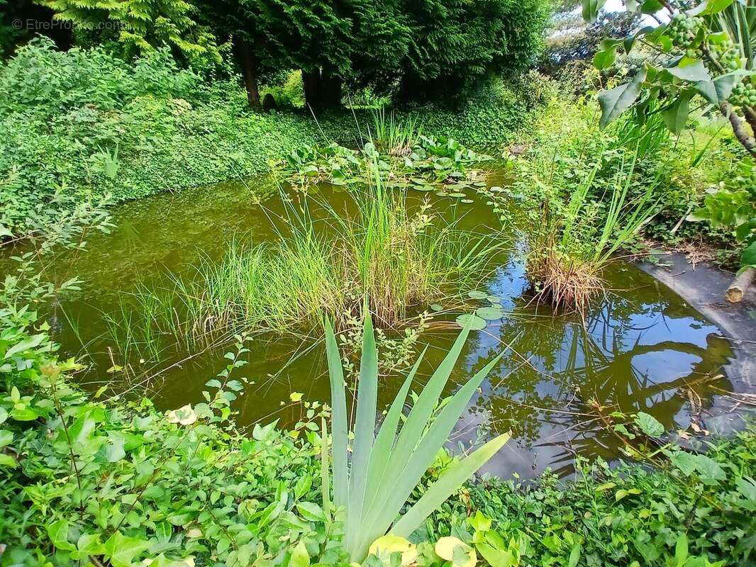Maison Serquigny - photo 13