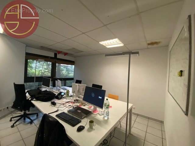 Commerce 207 m² à Toulouse  - photo 2