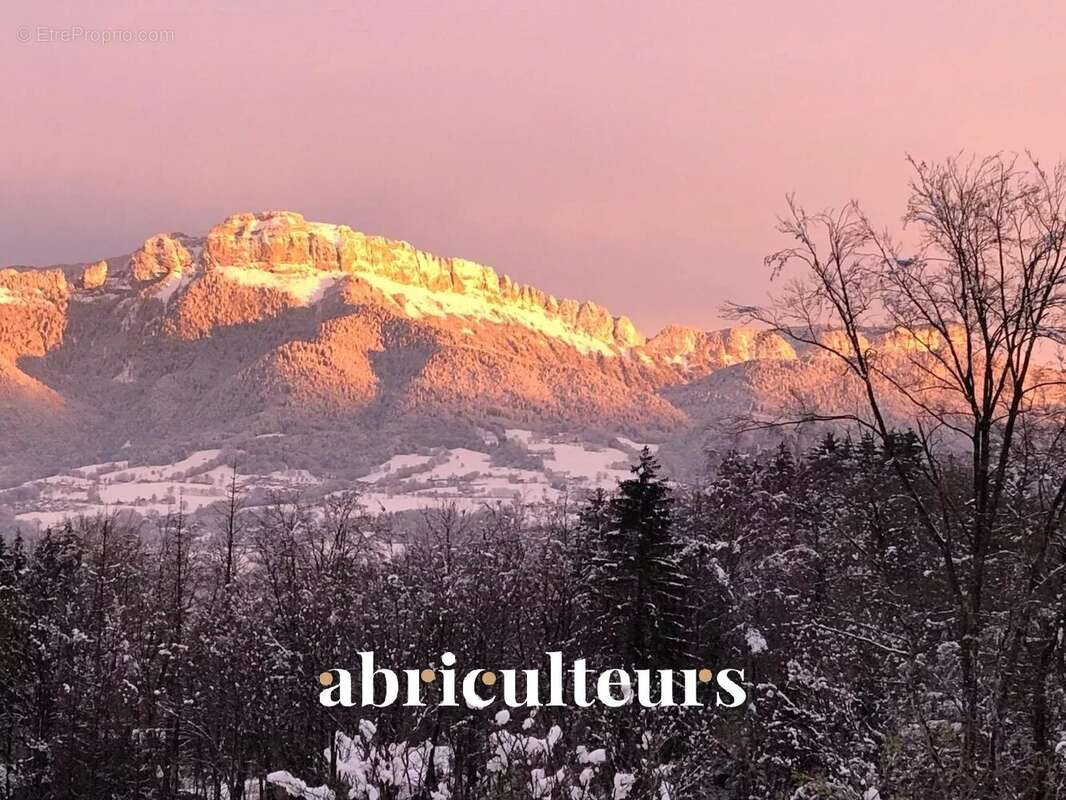 Maison à CHARVONNEX