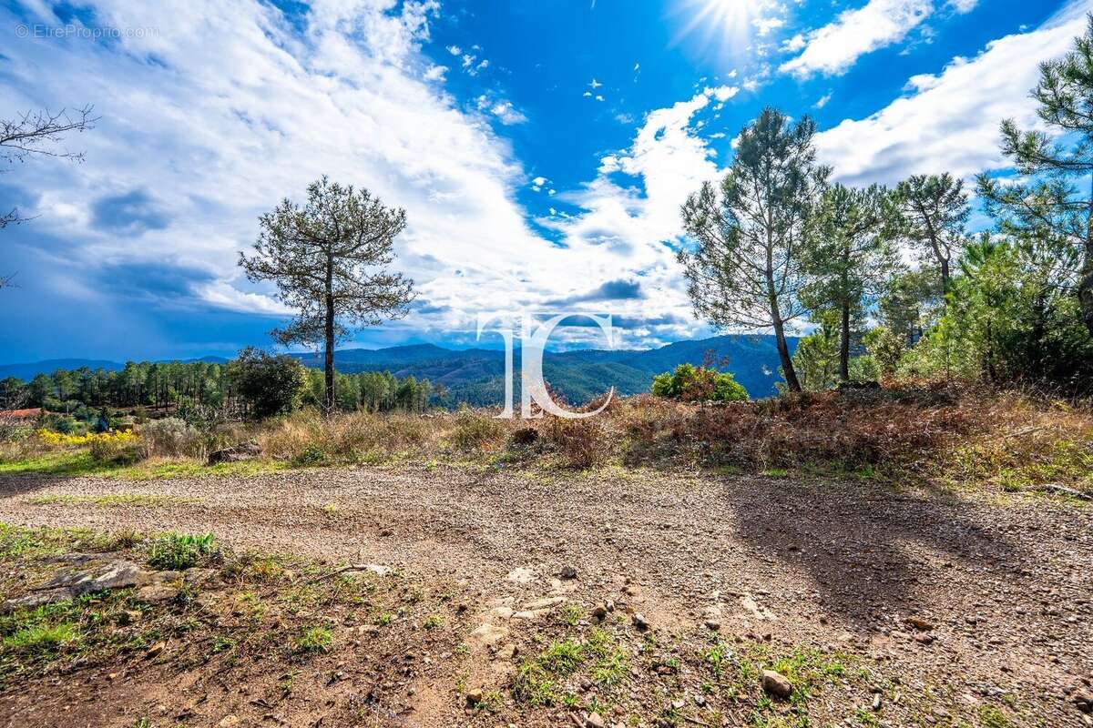 Terrain 9650m² situe plein sud - photo 13
